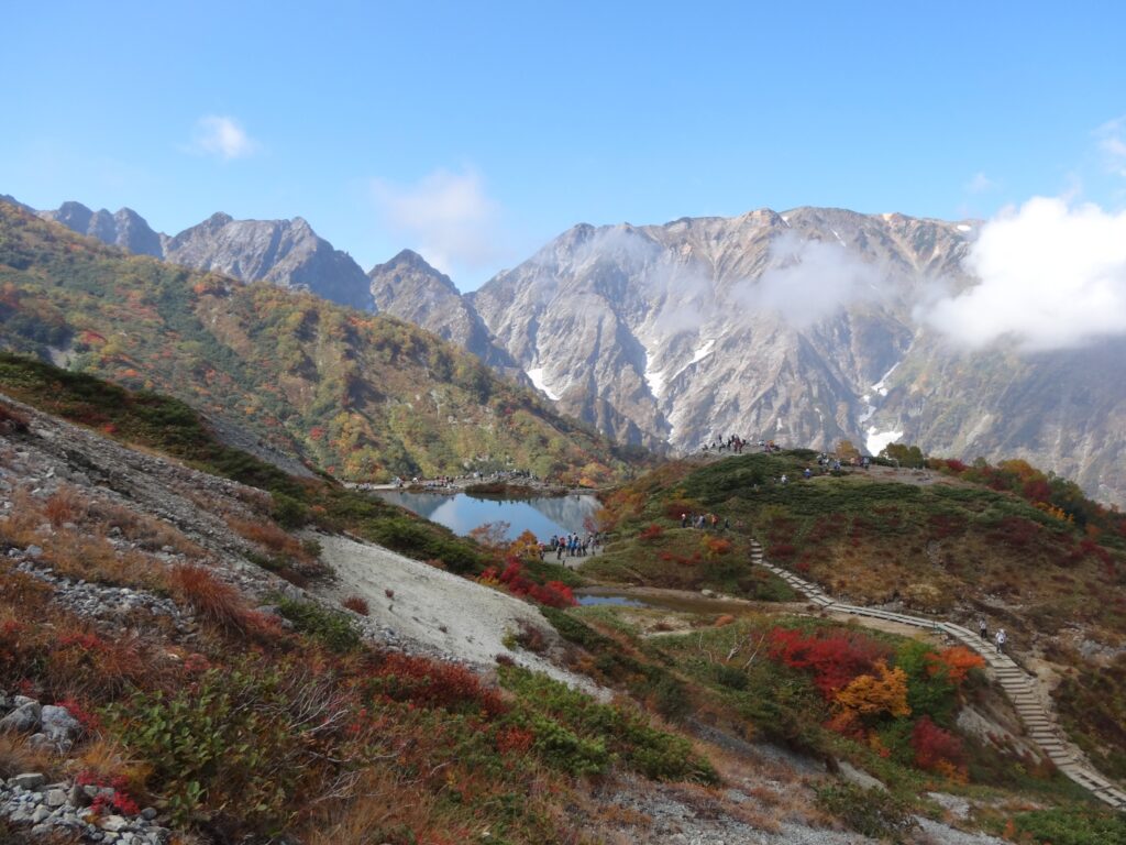 今年の紅葉 絶好調!!です。